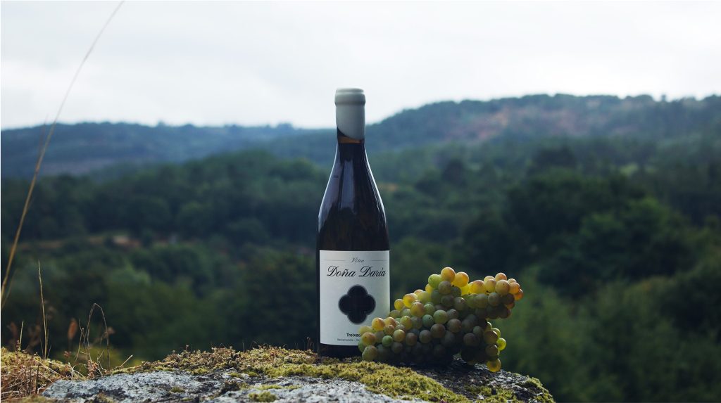 Detalle del entorno de Doña Daría